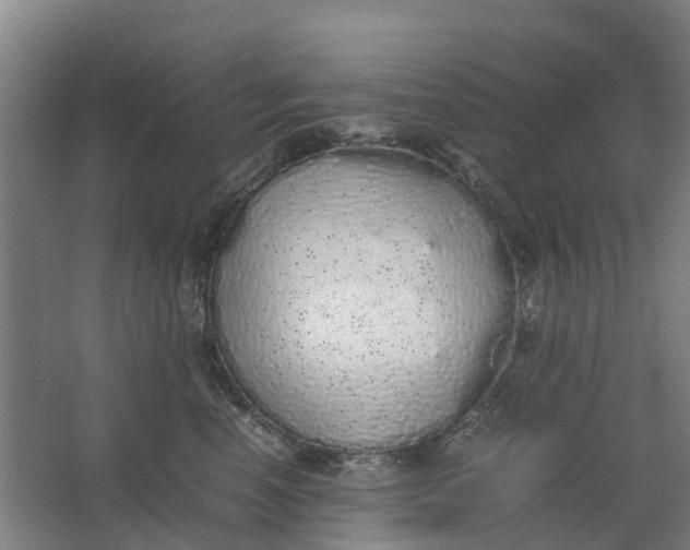 X0000062900666200601271715