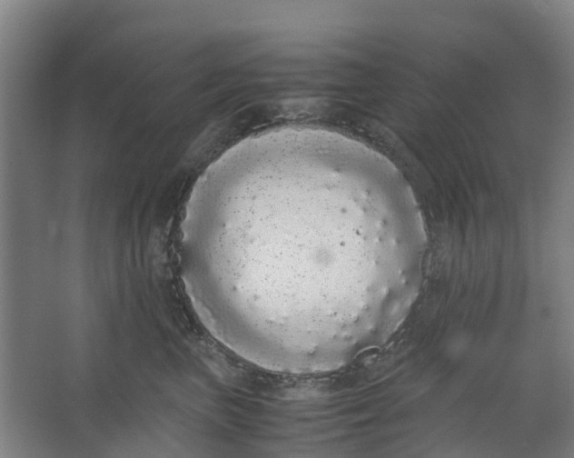 X0000062900667200601271715