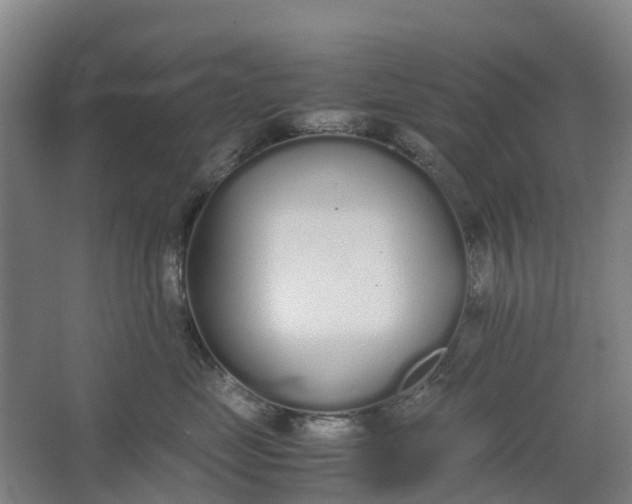 X0000062900669200601271715