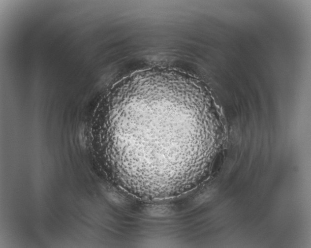 X0000062900671200601271715