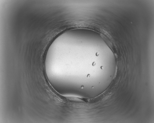 X0000062900673200601271714