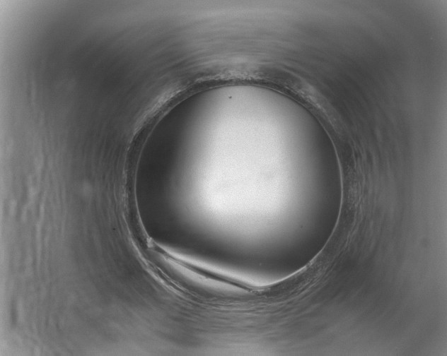 X0000062900677200601271714