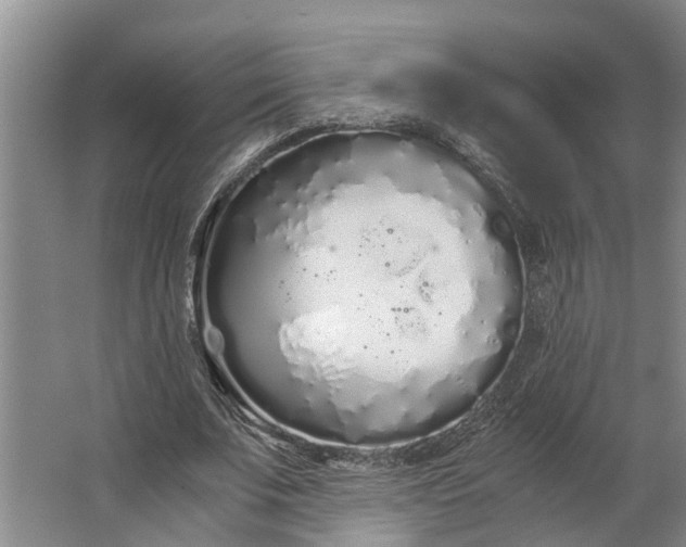 X0000062900679200601271714