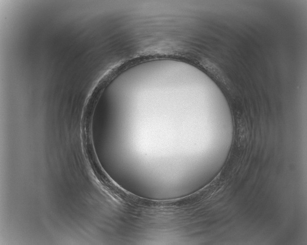 X0000062900680200601271714