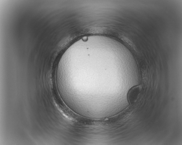 X0000062900682200601271714