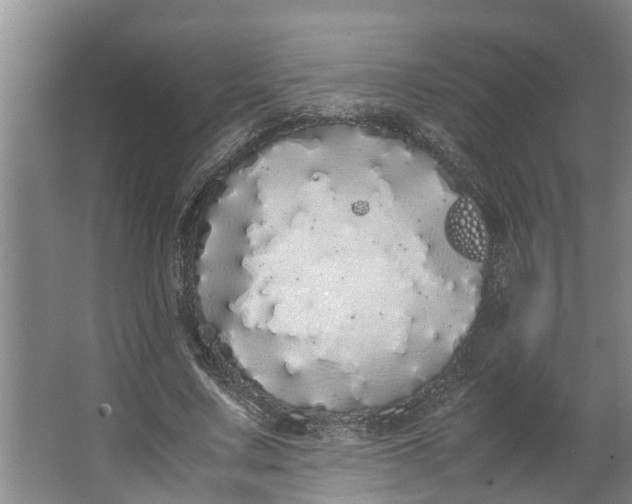 X0000062900683200601271714