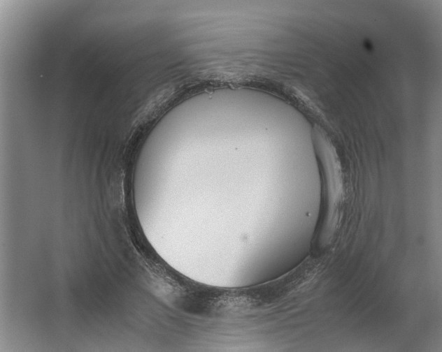 X0000062900685200601271714