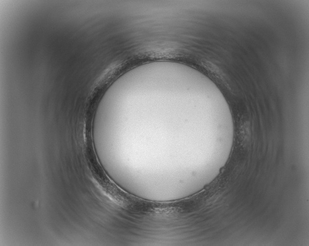 X0000062900686200601271714