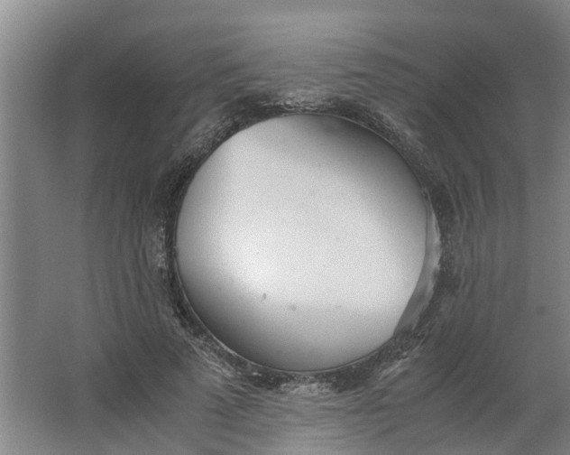 X0000062900689200601271714