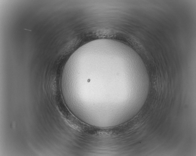 X0000062900690200601271714