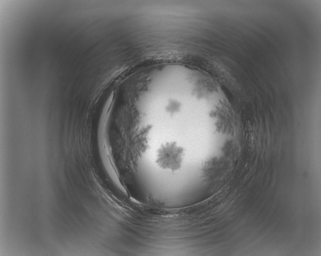 X0000062900692200601271714