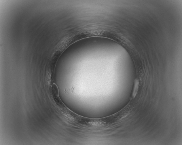 X0000062900693200601271714