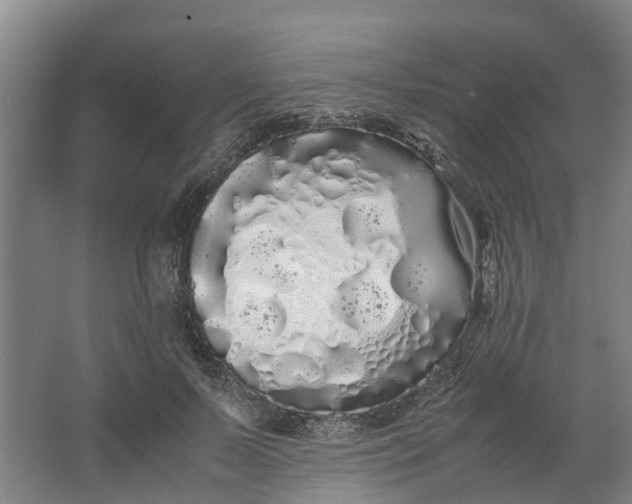 X0000062900695200601271714