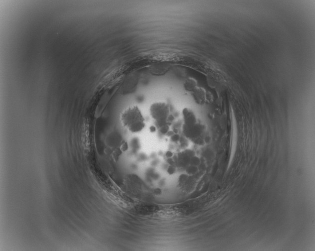 X0000062900696200601271714