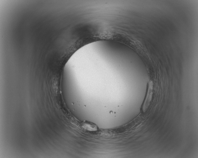 X0000062900697200601271714