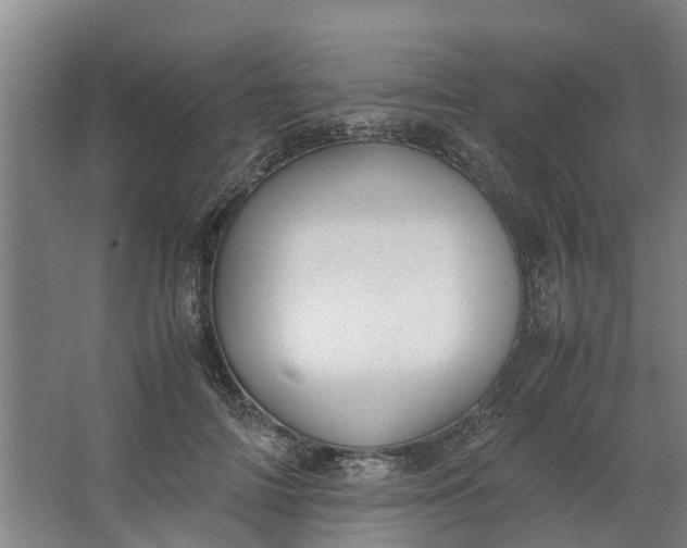 X0000062900698200601271714