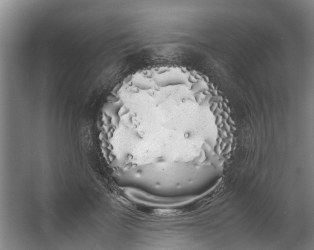 X0000062900699200601271714