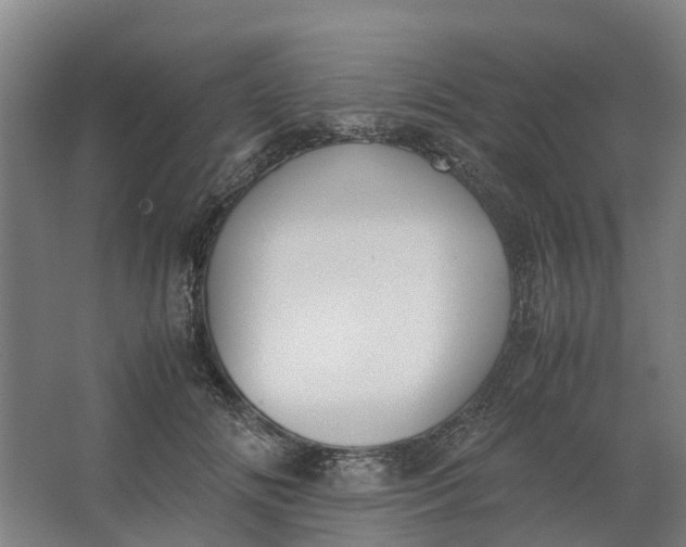 X0000062900702200601271714