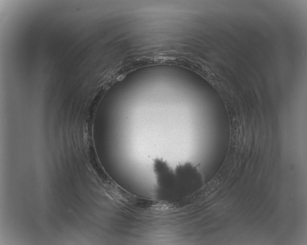 X0000062900704200601271714