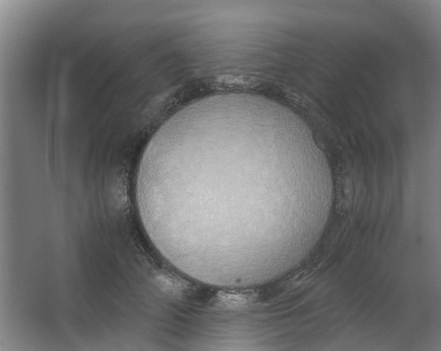 X0000062900706200601271714