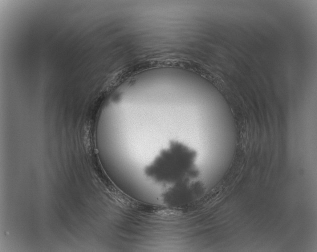 X0000062900708200601271714