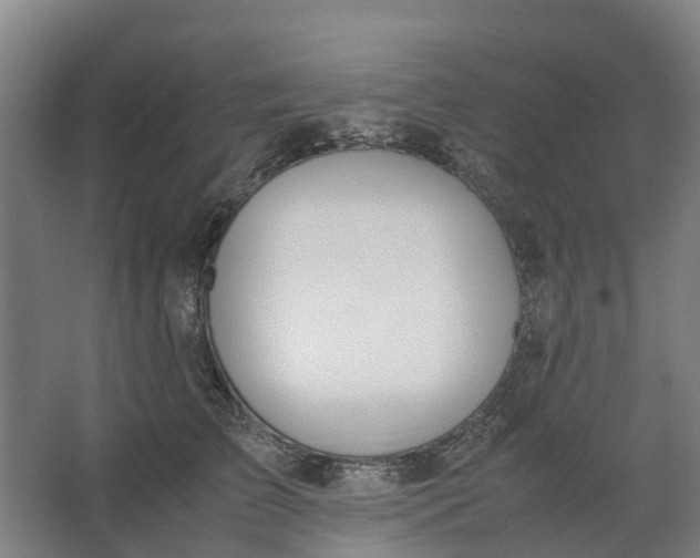 X0000062900709200601271714