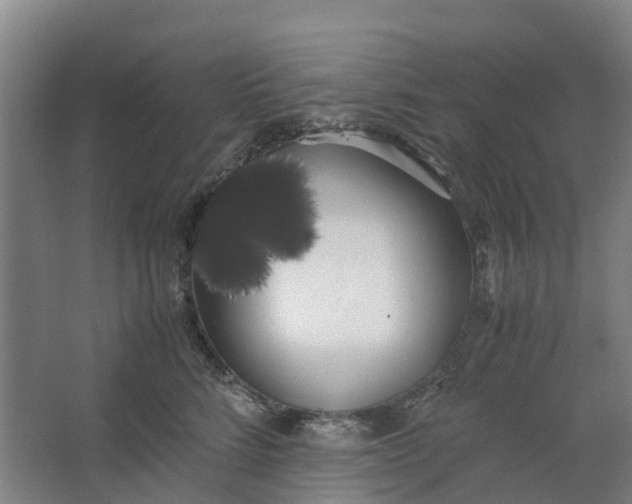 X0000062900712200601271714