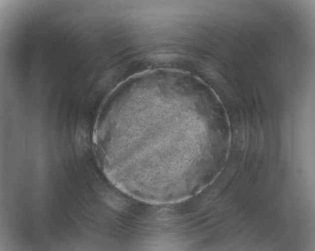 X0000062900718200601271713