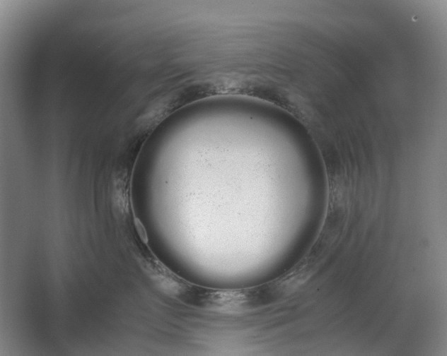 X0000062900719200601271713