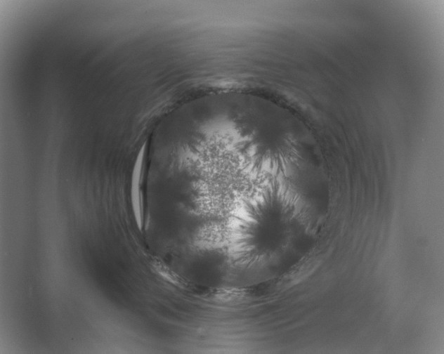 X0000062900720200601271713