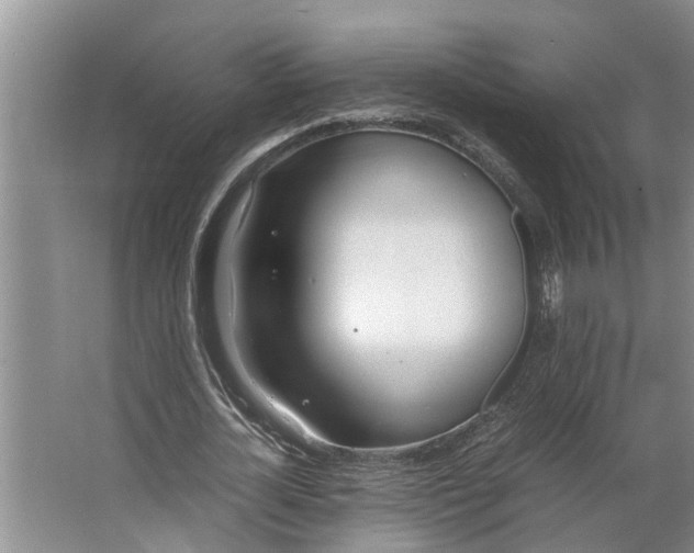 X0000062900724200601271713