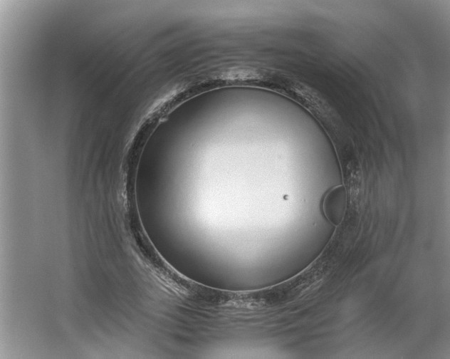 X0000062900727200601271713