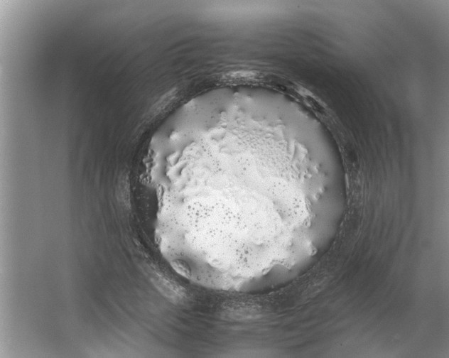 X0000062900729200601271713