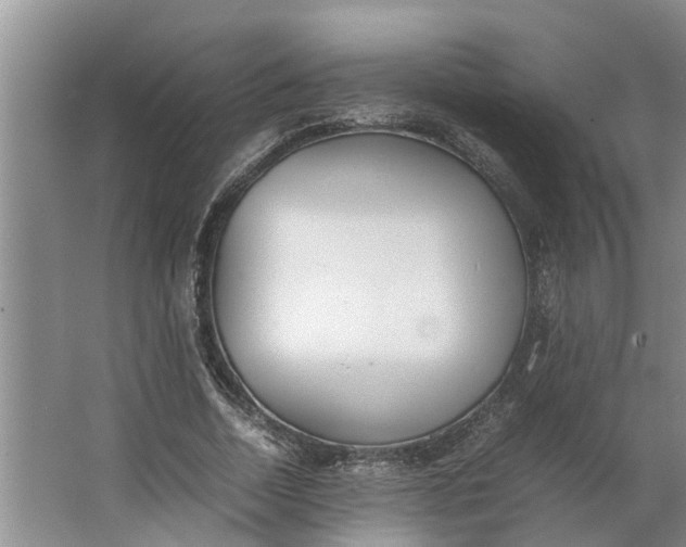 X0000062900730200601271713