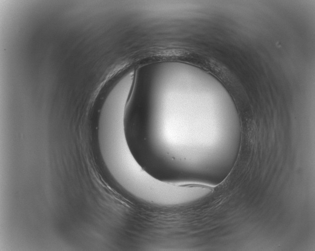 X0000062900731200601271713