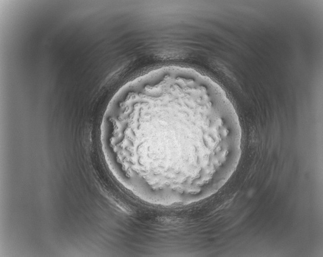 X0000062900733200601271713