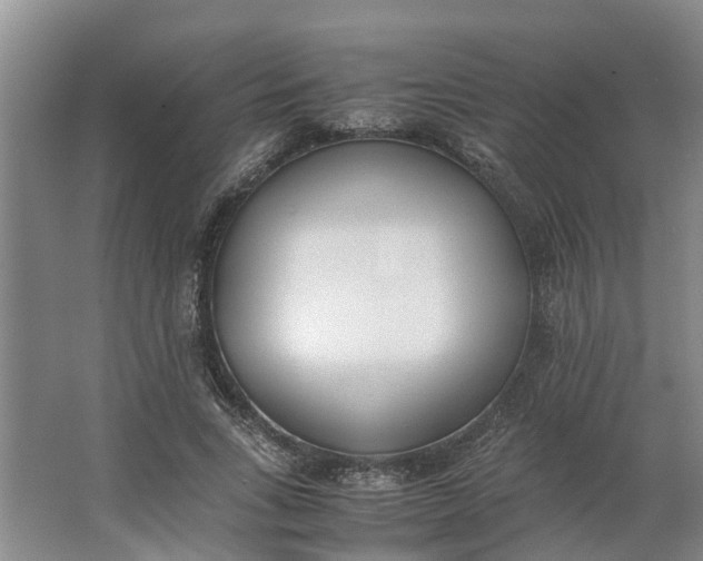 X0000062900735200601271713