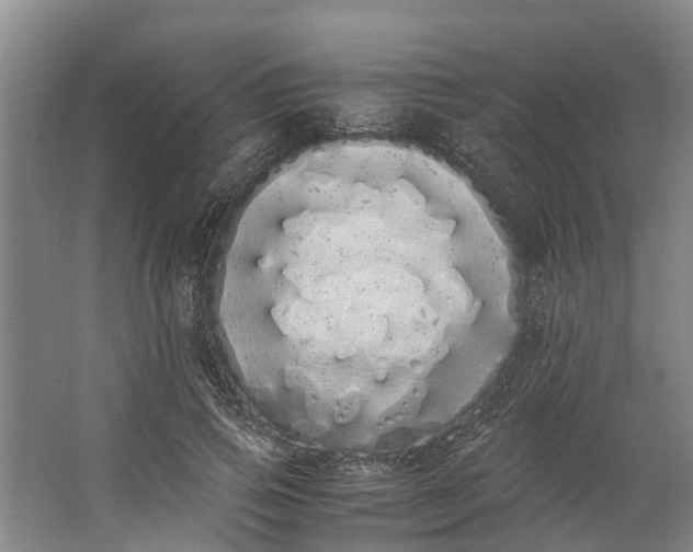 X0000062900741200601271713