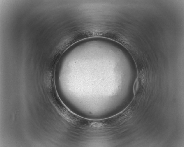 X0000062900742200601271713