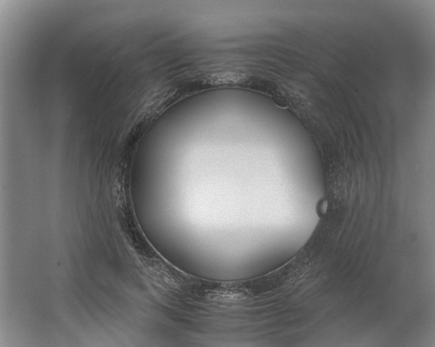 X0000062900743200601271713