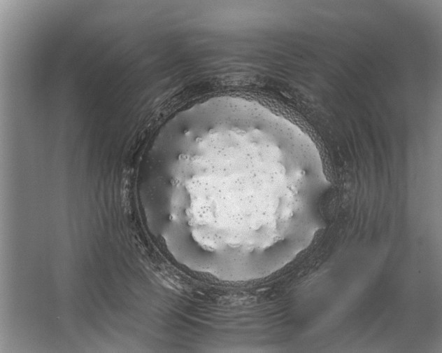 X0000062900745200601271713