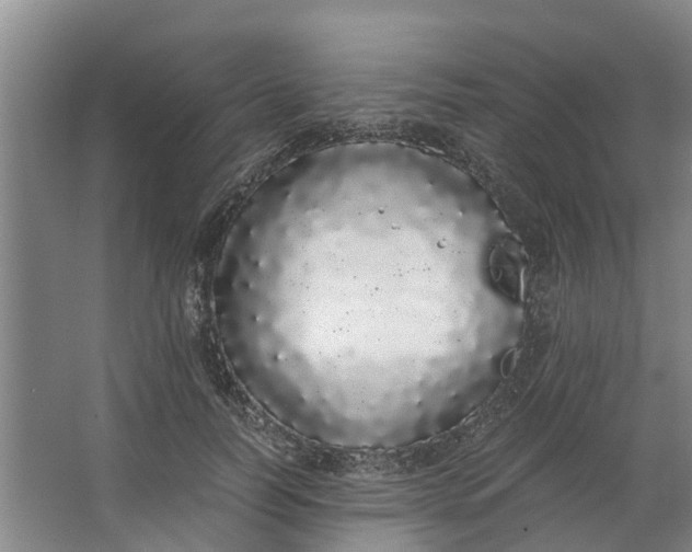 X0000062900746200601271713