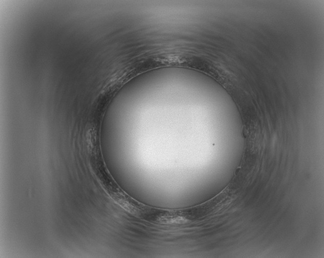 X0000062900747200601271713