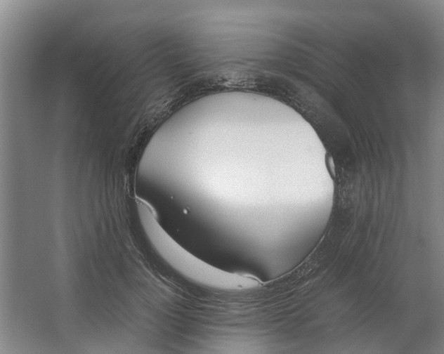 X0000062900748200601271713