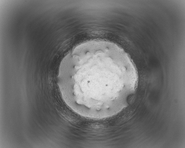 X0000062900749200601271713