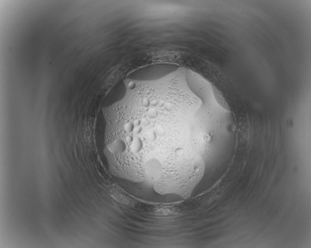 X0000062900753200601271713