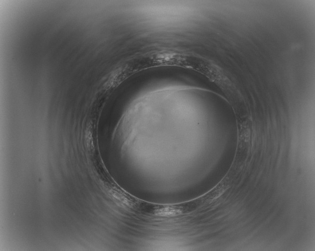 X0000062900754200601271713