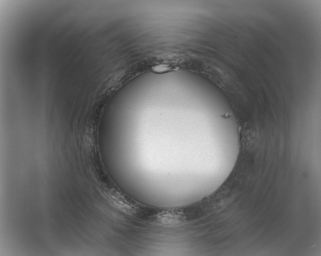 X0000062900756200601271713