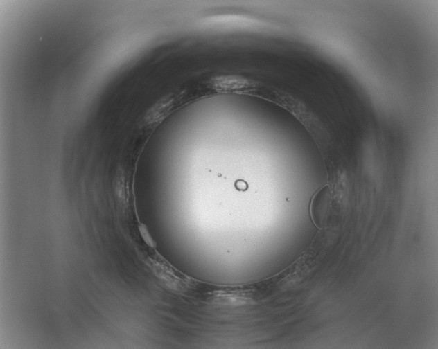 X0000062900763200601271713