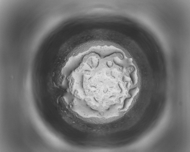 X0000062900765200601271713